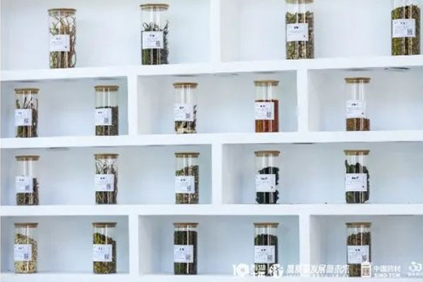 Z6尊龙凯时中药材 Z6尊龙凯时中药材