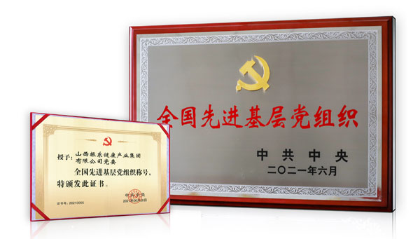Z6尊龙凯时党委荣获“全国先进基层党组织” Z6尊龙凯时党委荣获“全国先进基层党组织”