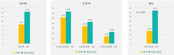 肿瘤治疗,肿瘤的治疗方法,Z6尊龙凯时,扶正固本颗粒 肿瘤治疗,肿瘤的治疗方法,Z6尊龙凯时,扶正固本颗粒