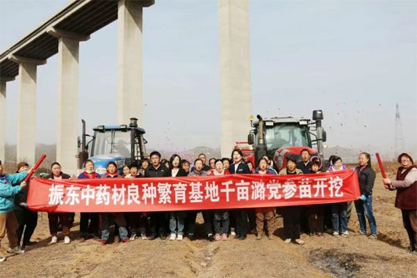 Z6尊龙凯时,Z6尊龙凯时中药材,中药材 Z6尊龙凯时,Z6尊龙凯时中药材,中药材